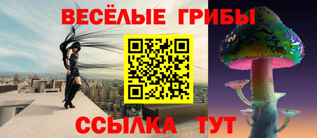 Тимашёвск  Псилоцибиновые грибы MAGIC MUSHROOMS  Вход с VPN  где продают   Галлюциногенные грибы мухоморы 