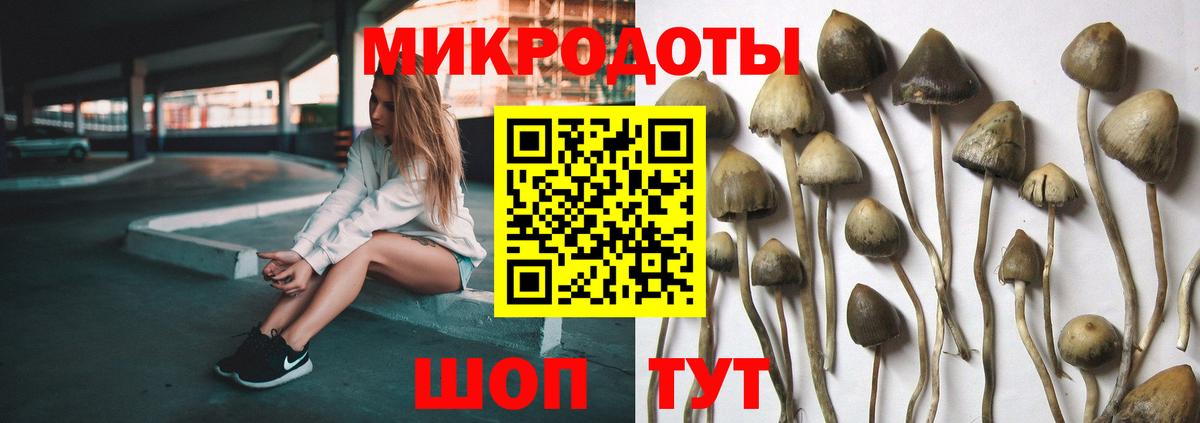 Галлюциногенные грибы мицелий Тимашёвск
